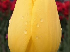 -长春公园(普阳街道)