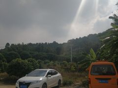 停车场-得福农庄