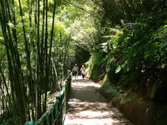 -四洞沟景区