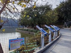 -南国桃园旅游度假区