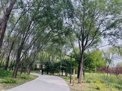 -北坞公园