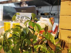 -十三朝牛馍王擀面皮(骡马市店)