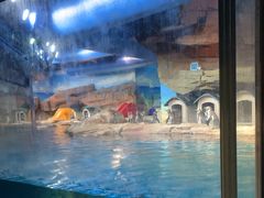 -海合安武汉极地海洋公园