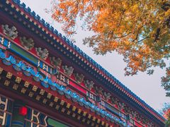-灵谷景区