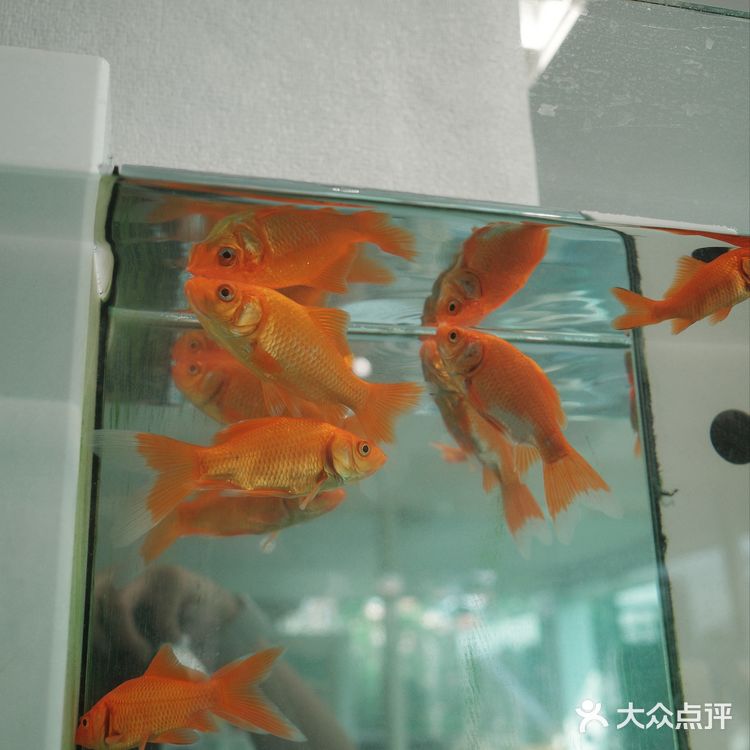 杯子盘子装得全都是可爱