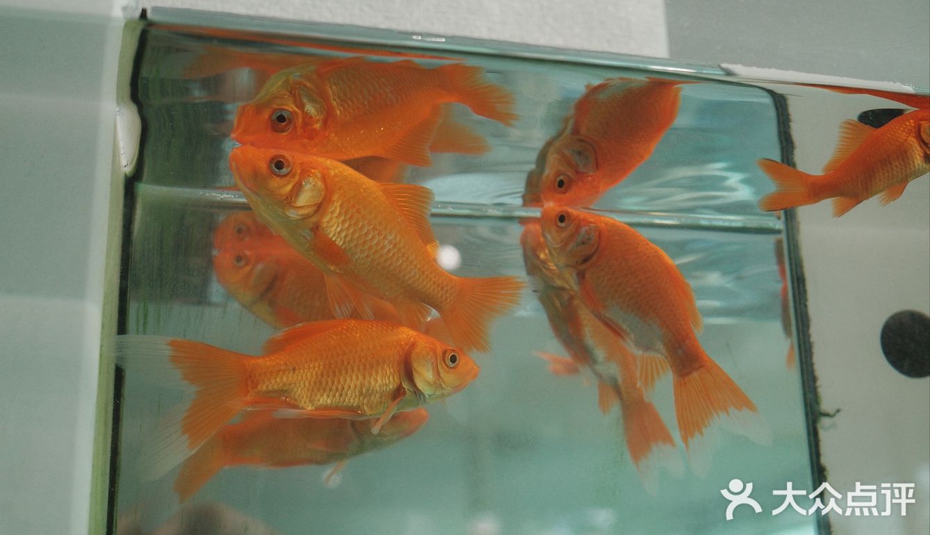 杯子盘子装得全都是可爱