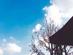 -哈根达斯(滨江店)