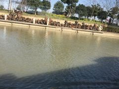 -长兴太湖图影湿地文化园