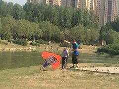 -丁香湖公园