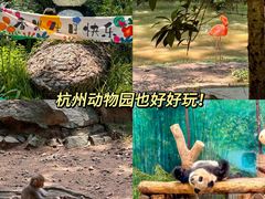 -杭州动物园