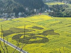-万峰林风景区