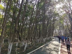 -艾溪湖湿地公园