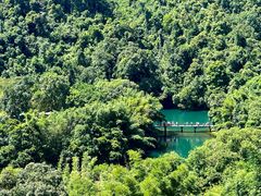 -鼎湖山风景区