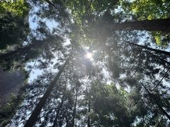 -雁荡山风景名胜区