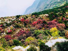 -石门坊