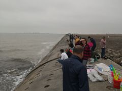 -东疆建设开发纪念公园