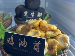 -爱膳菌锅锅(阳南店)
