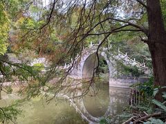 -深圳仙湖植物园