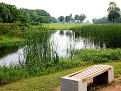 -艾溪湖湿地公园