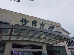 -上海市保健医疗中心