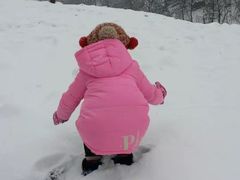 -武陵山森林公园