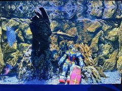 -海合安天津极地海洋公园