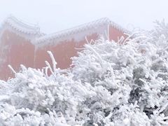 -泰山风景名胜区