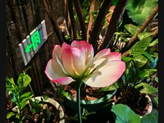 -观宴·品质赣菜(高新大道店)