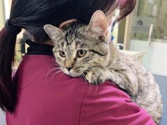 -瑞鹏宠物医院·爱宠堂(环西分院)