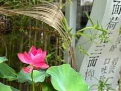 -百花洲
