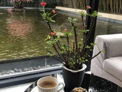 -锦江都城经典达华静安寺酒店·餐厅