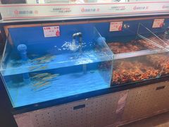 -鼎原力量东北吊炉烧烤(幸福街店)