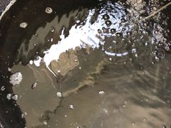 -翠茗农庄土菜馆(天目湖店)