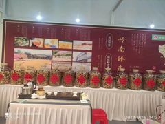 -天津梅江会展中心