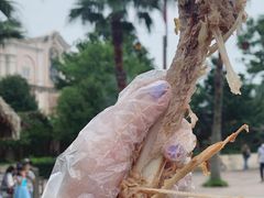 -迪士尼火鸡腿