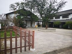 -大塘金香草谷