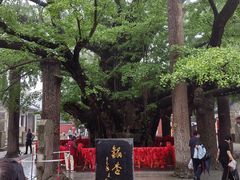 -浮来山风景区