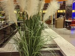 -水之梦(黄浦店)