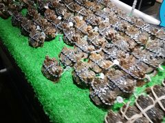 -盒马鲜生(馥邦国际店)