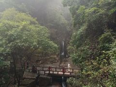 -鼎湖山风景区