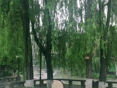 -温江公园