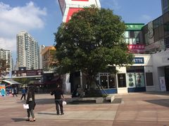 -证大大拇指广场(芳甸路店)