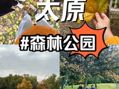 -森林公园(尖草坪区)