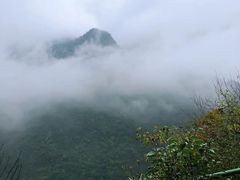 -东天目山风景区