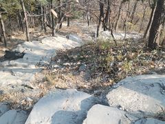 -北京鹫峰国家森林公园