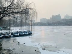 -文瀛公园