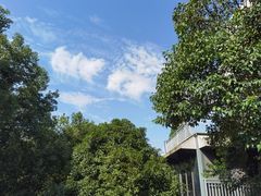 -谷咖啡·鲜花绿植花园餐厅