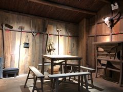 -九龙江国家森林公园