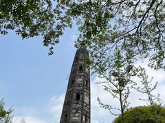 -上海佘山国家森林公园天马山园