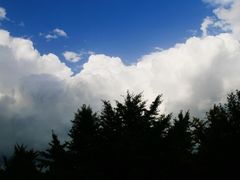 -东升八家郊野公园